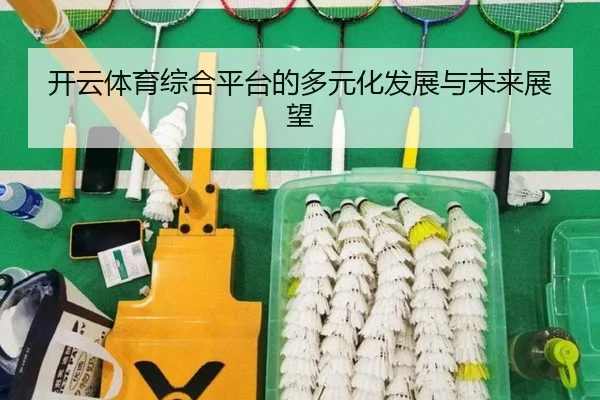 开云体育综合平台的多元化发展与未来展望